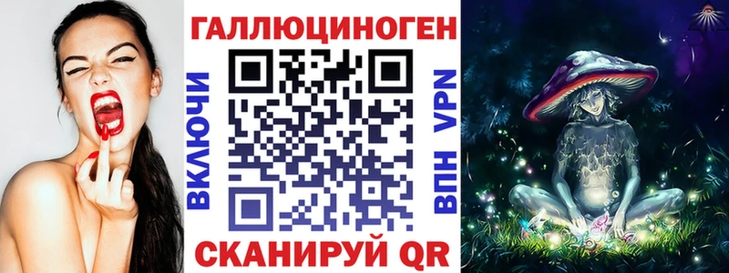 ОМГ ОМГ вход  Кудрово  Псилоцибиновые грибы Cubensis 