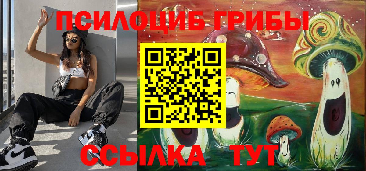 Псилоцибиновые грибы Psilocybe  Галлюциногенные грибы Psilocybine cubensis  Кудрово  Вход с VPN 
