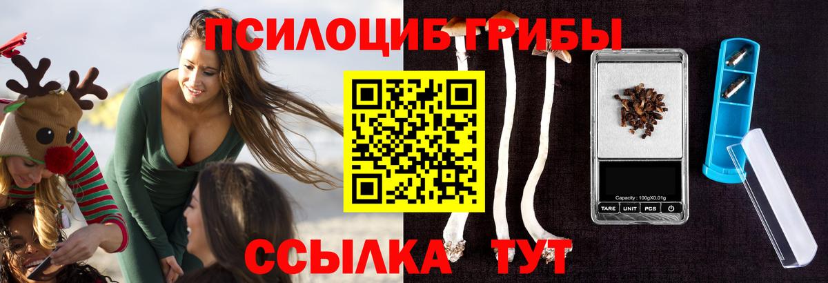 Псилоцибиновые грибы прущие грибы Кудрово