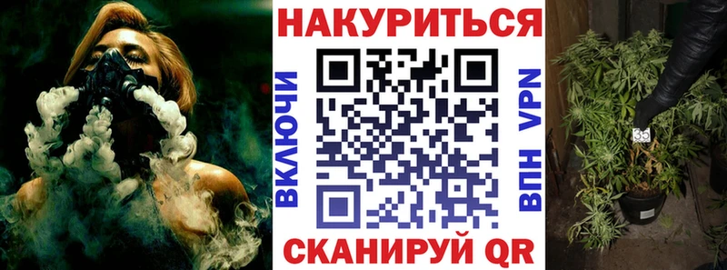 Шишки марихуана конопля  купить наркоту  kraken зеркало  Кудрово 
